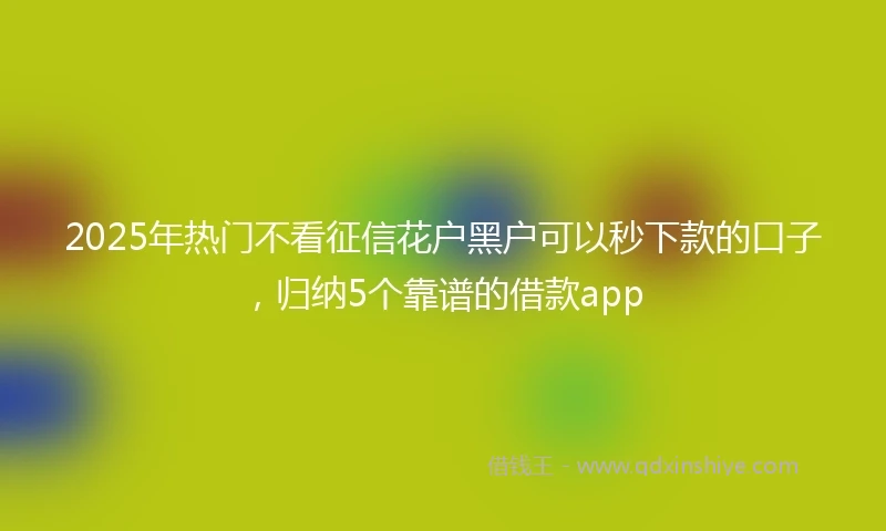 2025年热门不看征信花户黑户可以秒下款的口子，归纳5个靠谱的借款app