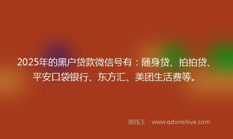 2025年的黑户贷款微信号有：随身贷、拍拍贷、平安口袋银行、东方汇、美团生活费等。