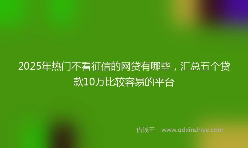 2025年热门不看征信的网贷有哪些，汇总五个贷款10万比较容易的平台