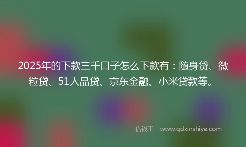 2025年的下款三千口子怎么下款有：随身贷、微粒贷、51人品贷、京东金融、小米贷款等。