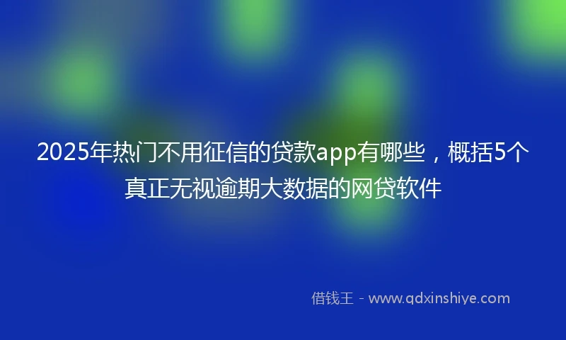 2025年热门不用征信的贷款app有哪些，概括5个真正无视逾期大数据的网贷软件