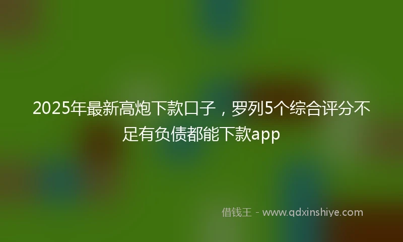2025年最新高炮下款口子，罗列5个综合评分不足有负债都能下款app
