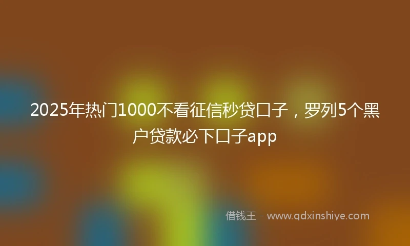 2025年热门1000不看征信秒贷口子，罗列5个黑户贷款必下口子app