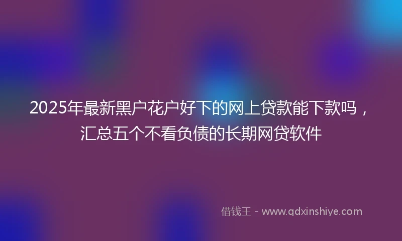 2025年最新黑户花户好下的网上贷款能下款吗，汇总五个不看负债的长期网贷软件