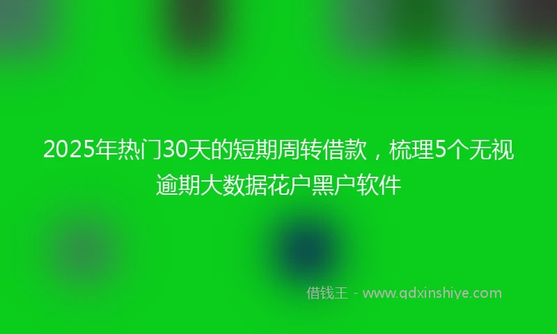 2025年热门30天的短期周转借款，梳理5个无视逾期大数据花户黑户软件