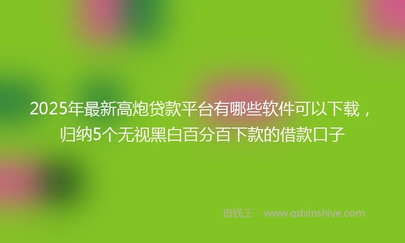 2025年最新高炮贷款平台有哪些软件可以下载,归纳5个无视黑白百分百下款的借款口子