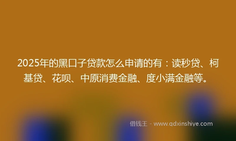 2025年的黑口子贷款怎么申请的有：读秒贷、柯基贷、花呗、中原消费金融、度小满金融等。