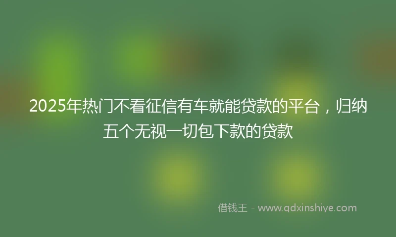 2025年热门不看征信有车就能贷款的平台，归纳五个无视一切包下款的贷款