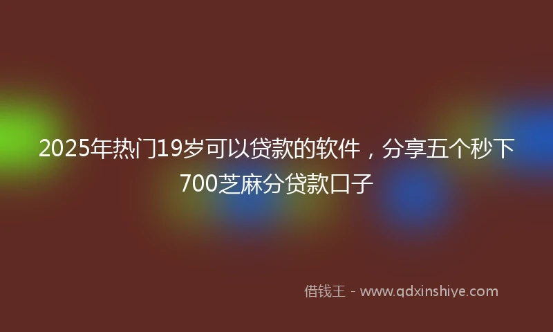 2025年热门19岁可以贷款的软件，分享五个秒下700芝麻分贷款口子