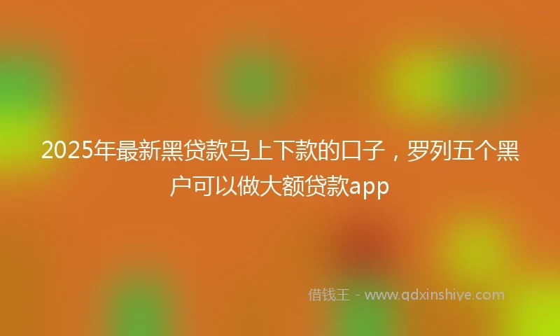 2025年最新黑贷款马上下款的口子，罗列五个黑户可以做大额贷款app