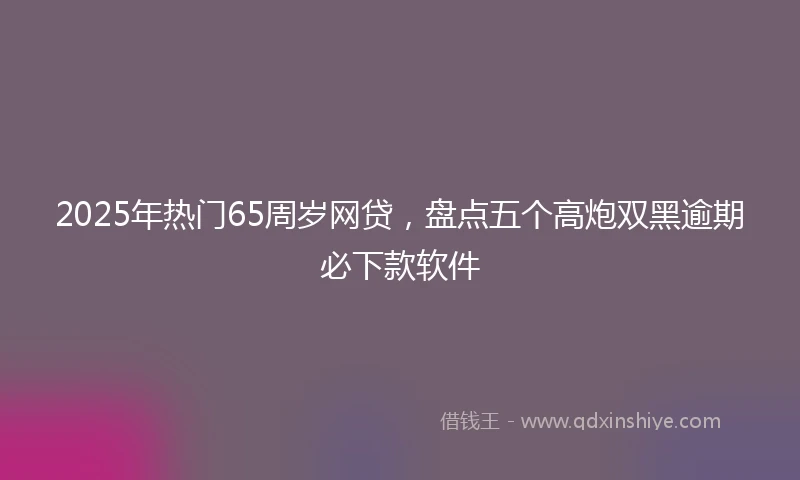 2025年热门65周岁网贷，盘点五个高炮双黑逾期必下款软件