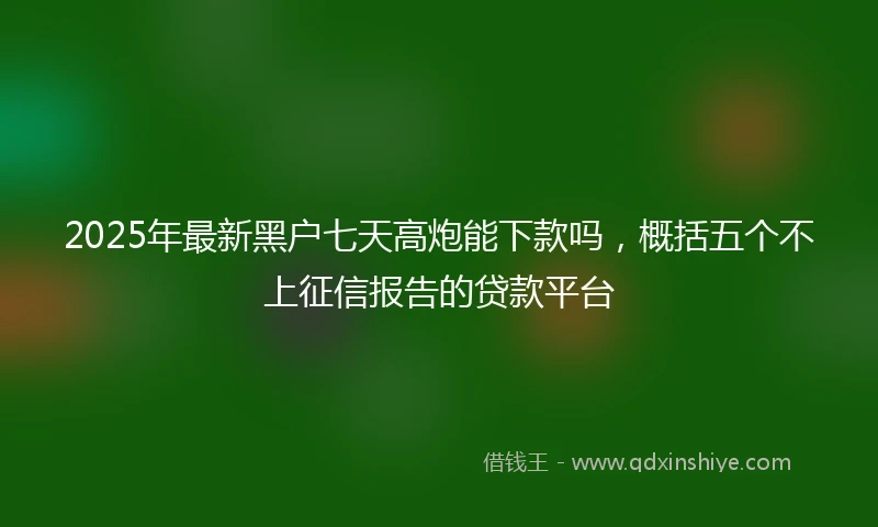 2025年最新黑户七天高炮能下款吗，概括五个不上征信报告的贷款平台