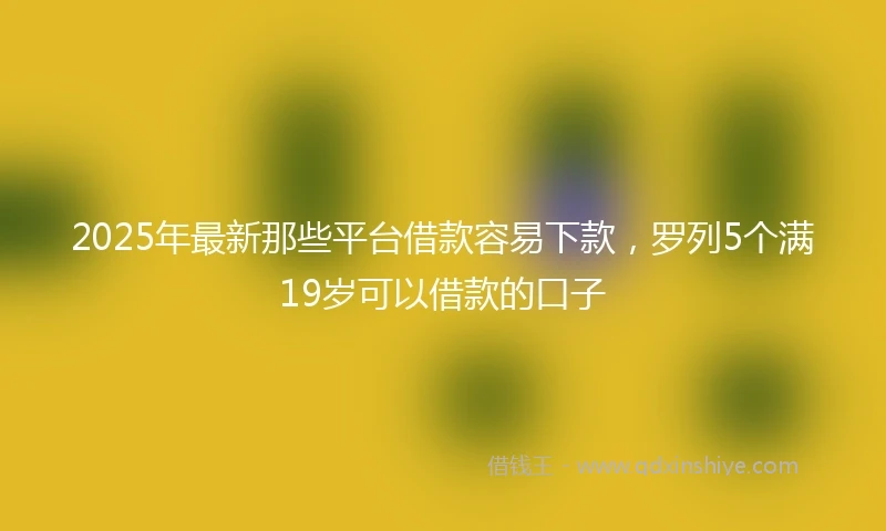 2025年最新那些平台借款容易下款，罗列5个满19岁可以借款的口子
