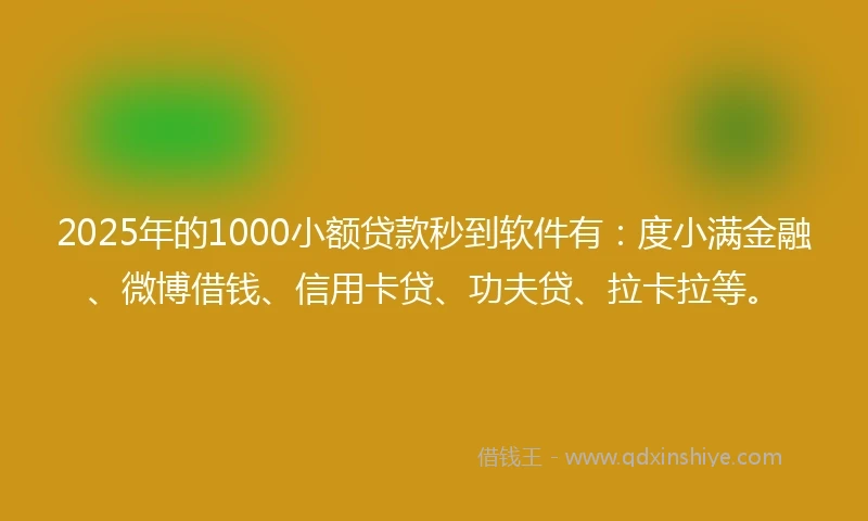2025年的1000小额贷款秒到软件有：度小满金融、微博借钱、信用卡贷、功夫贷、拉卡拉等。