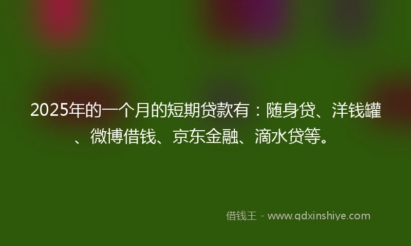 2025年的一个月的短期贷款有:随身贷、洋钱罐、微博借钱、京东金融、滴水贷等。