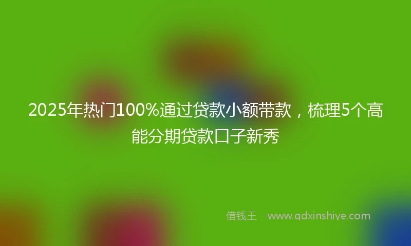 2025年热门100%通过贷款小额带款，梳理5个高能分期贷款口子新秀