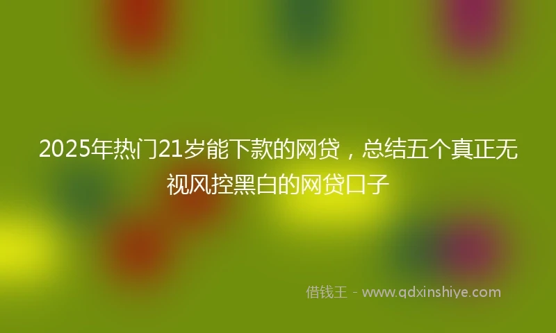 2025年热门21岁能下款的网贷，总结五个真正无视风控黑白的网贷口子