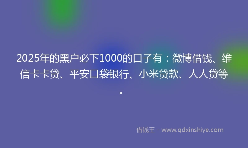 2025年的黑户必下1000的口子有：微博借钱、维信卡卡贷、平安口袋银行、小米贷款、人人贷等。