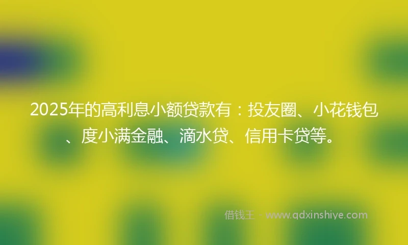 2025年的高利息小额贷款有：投友圈、小花钱包、度小满金融、滴水贷、信用卡贷等。