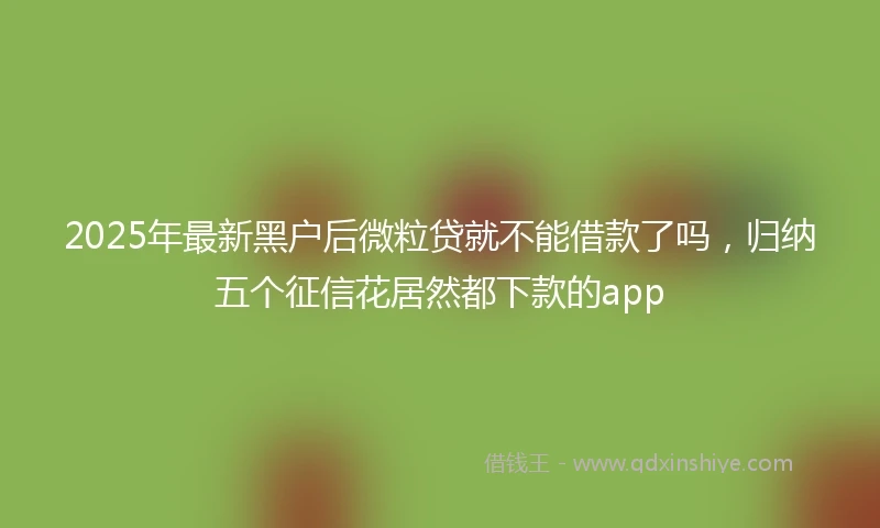 2025年最新黑户后微粒贷就不能借款了吗，归纳五个征信花居然都下款的app