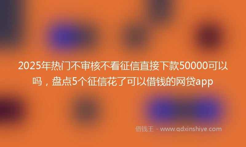 2025年热门不审核不看征信直接下款50000可以吗，盘点5个征信花了可以借钱的网贷app