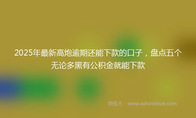 2025年最新高炮逾期还能下款的口子，盘点五个无论多黑有公积金就能下款