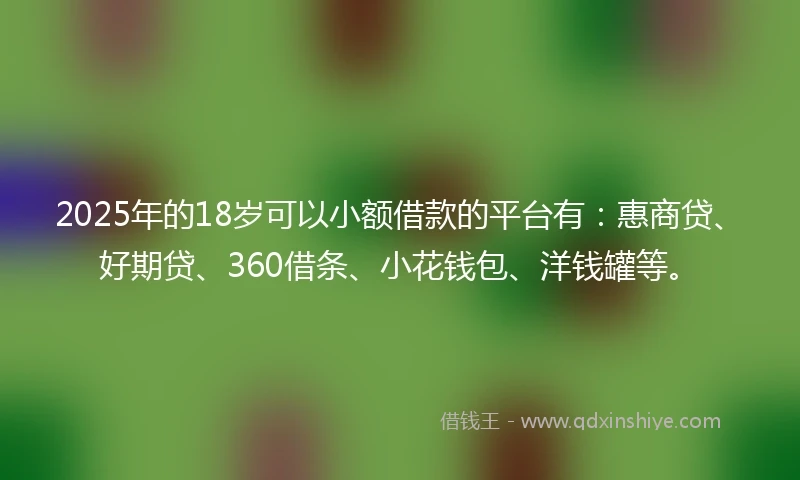 2025年的18岁可以小额借款的平台有：惠商贷、好期贷、360借条、小花钱包、洋钱罐等。