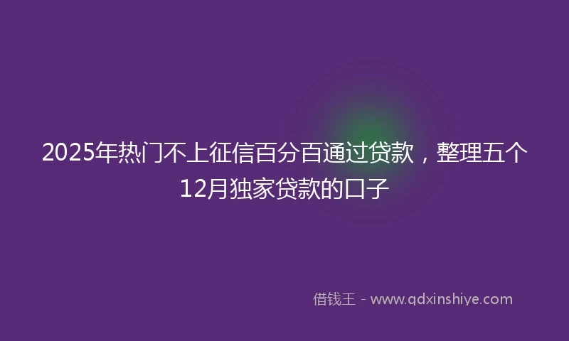 2025年热门不上征信百分百通过贷款，整理五个12月独家贷款的口子