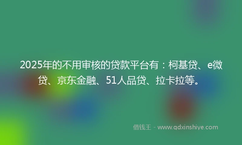 2025年的不用审核的贷款平台有：柯基贷、e微贷、京东金融、51人品贷、拉卡拉等。