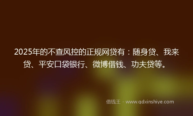 2025年的不查风控的正规网贷有：随身贷、我来贷、平安口袋银行、微博借钱、功夫贷等。