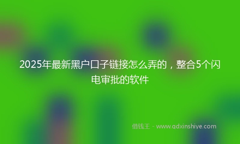 2025年最新黑户口子链接怎么弄的，整合5个闪电审批的软件