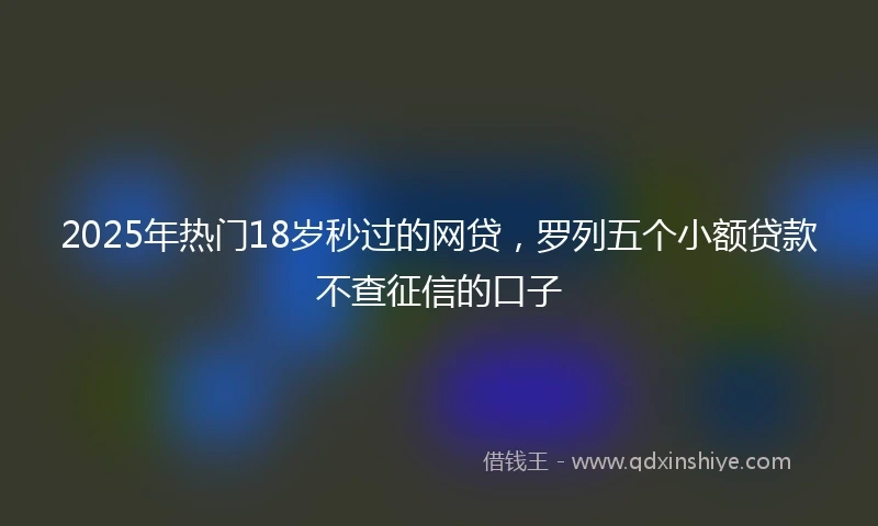 2025年热门18岁秒过的网贷，罗列五个小额贷款不查征信的口子