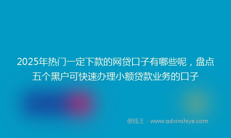 2025年热门一定下款的网贷口子有哪些呢，盘点五个黑户可快速办理小额贷款业务的口子