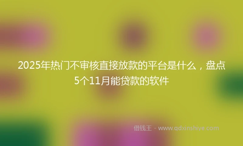 2025年热门不审核直接放款的平台是什么，盘点5个11月能贷款的软件