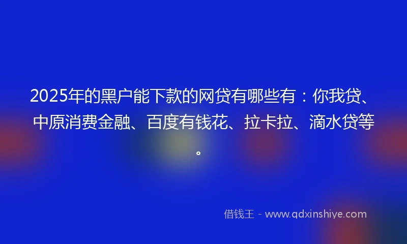 2025年的黑户能下款的网贷有哪些有：你我贷、中原消费金融、百度有钱花、拉卡拉、滴水贷等。
