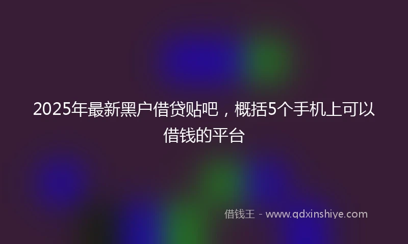 2025年最新黑户借贷贴吧，概括5个手机上可以借钱的平台