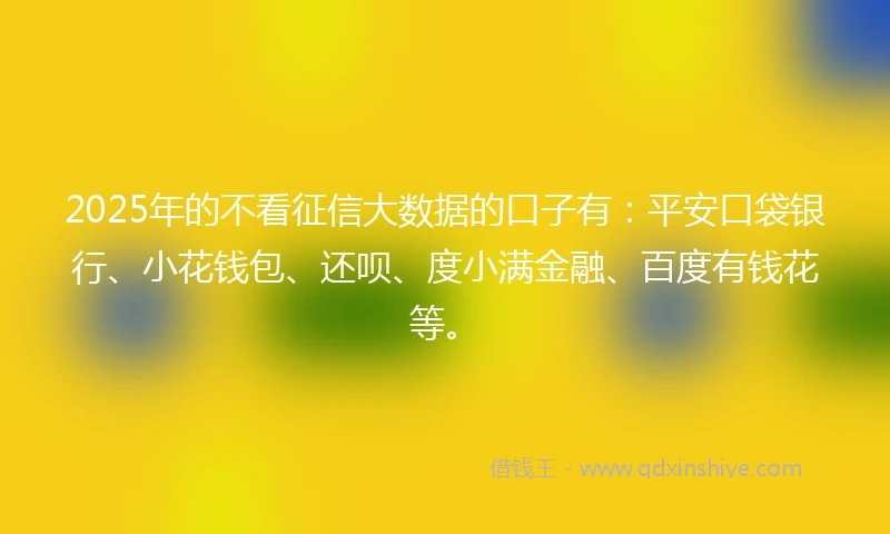 2025年的不看征信大数据的口子有:平安口袋银行、小花钱包、还呗、度小满金融、百度有钱花等。