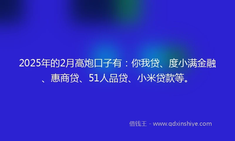 2025年的2月高炮口子有：你我贷、度小满金融、惠商贷、51人品贷、小米贷款等。