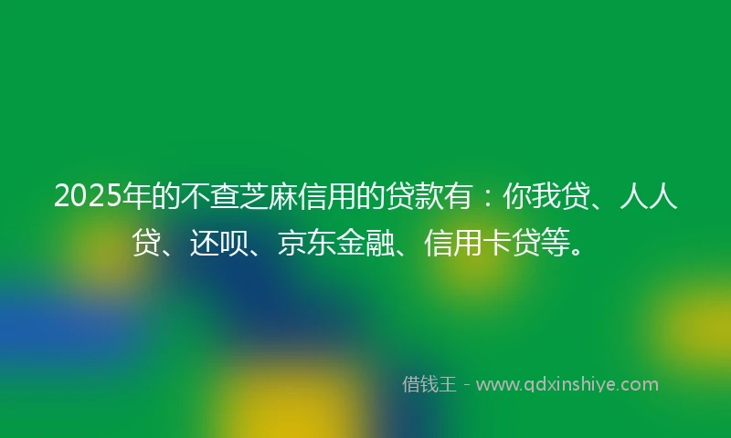2025年的不查芝麻信用的贷款有：你我贷、人人贷、还呗、京东金融、信用卡贷等。