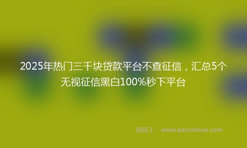 2025年热门三千块贷款平台不查征信，汇总5个无视征信黑白100%秒下平台