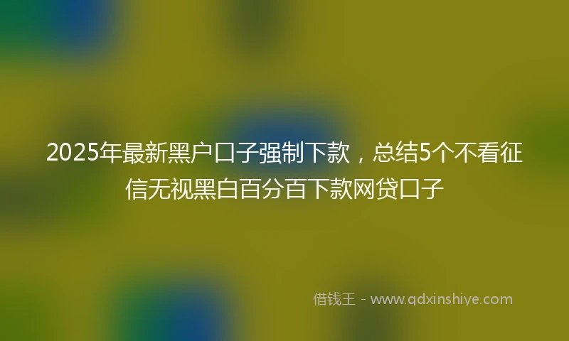 2025年最新黑户口子强制下款，总结5个不看征信无视黑白百分百下款网贷口子