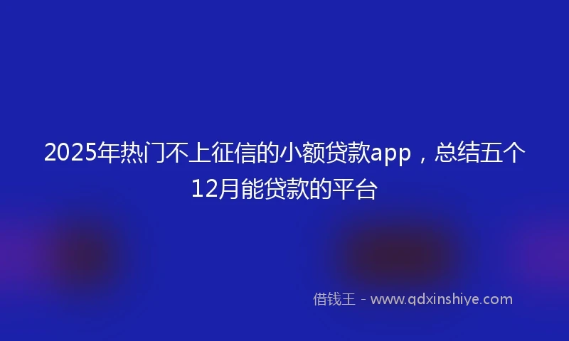 2025年热门不上征信的小额贷款app，总结五个12月能贷款的平台