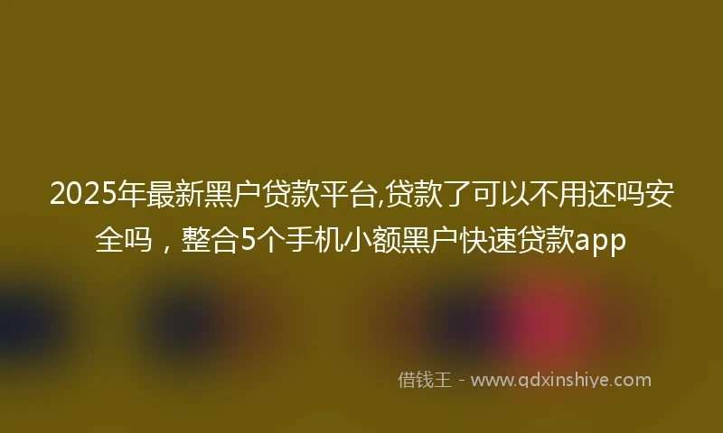 2025年最新黑户贷款平台,贷款了可以不用还吗安全吗,整合5个手机小额黑户快速贷款app
