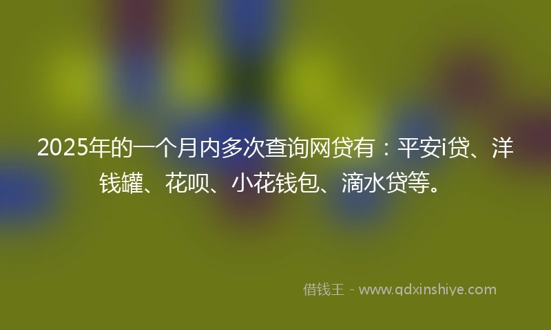 2025年的一个月内多次查询网贷有：平安i贷、洋钱罐、花呗、小花钱包、滴水贷等。