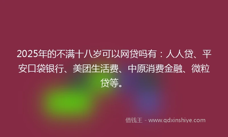 2025年的不满十八岁可以网贷吗有：人人贷、平安口袋银行、美团生活费、中原消费金融、微粒贷等。