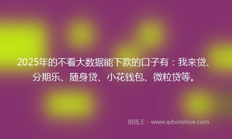 2025年的不看大数据能下款的口子有：我来贷、分期乐、随身贷、小花钱包、微粒贷等。
