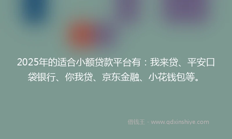 2025年的适合小额贷款平台有：我来贷、平安口袋银行、你我贷、京东金融、小花钱包等。