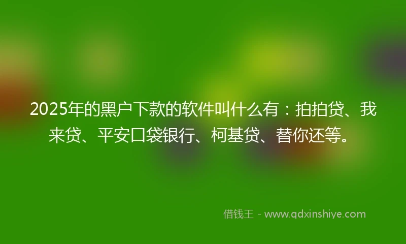2025年的黑户下款的软件叫什么有：拍拍贷、我来贷、平安口袋银行、柯基贷、替你还等。