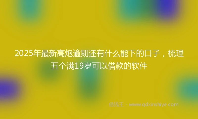 2025年最新高炮逾期还有什么能下的口子，梳理五个满19岁可以借款的软件