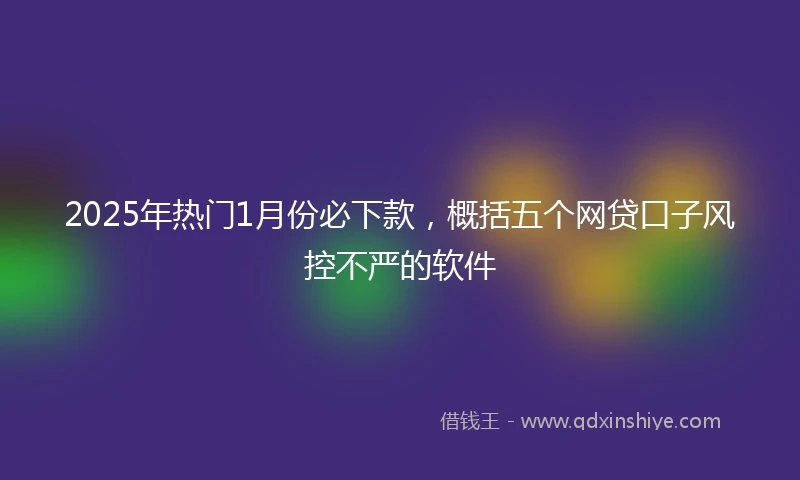 2025年热门1月份必下款,概括五个网贷口子风控不严的软件